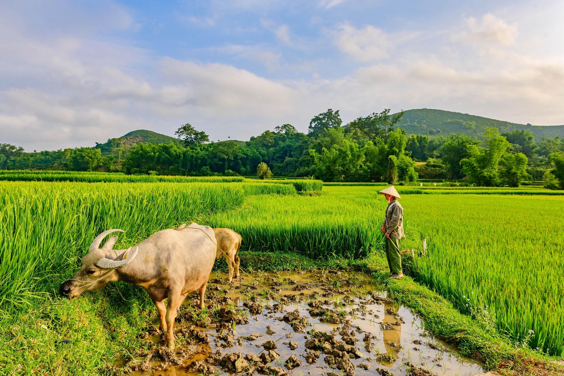Learn Muang Xay’s rich past with expert guidance